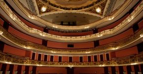 Foto: (Reprodução / Site oficial Theatro Municipal de São Paulo)
