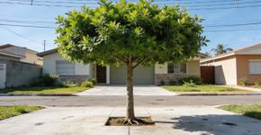 Lista das árvores ornamental que não estragam a calçada e que são belíssimas