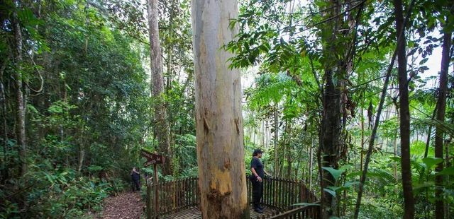 Cinco parques naturais de SP vão ser abertos ao público neste verão