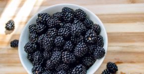 Rica em antioxidantes: conheça os benefícios da amora para a saúde