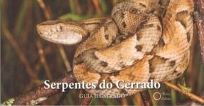 Guia ilustrado mostra todos serpentes do Cerrado brasileiro