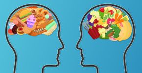 Estudo revela: Cérebro prefere alimentos calóricos por sobrevivência