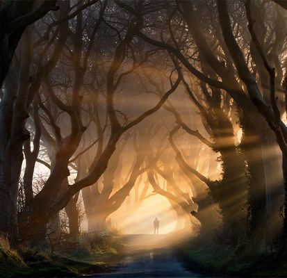 Stephen Emerson