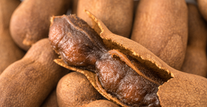 Foto: (iStock/Pixelimage)