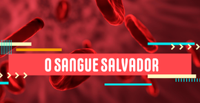 Cientistas conseguem transformar sangue tipo A em tipo O