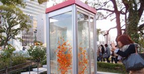 Coletivo de arte transforma cabines telefônicas em aquários no Japão