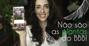 Descubra como usar seu smartphone para identificar plantas e flores