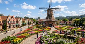 Como uma colônia fundada por imigrantes holandeses virou a cidade brasileira associada às flores e preservou arquitetura e costumes europeus