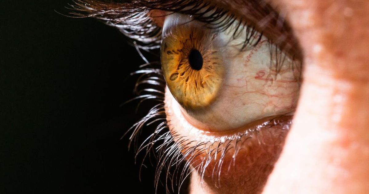 Luz que pode revolucionar tratamento ocular 👁️✨