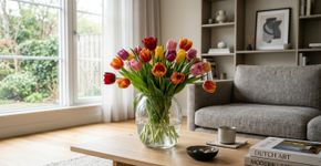 Na Holanda a tulipa de vaso é resistente a tudo, porque nunca a deixam perto de frutas maduras