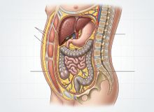 Featured side: 3 hábitos que ajudam a reduzir a gordura abdominal de forma realista ao longo das semanas