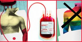 Sangue De Gays Tem Poder: Ação Expõe Desperdício