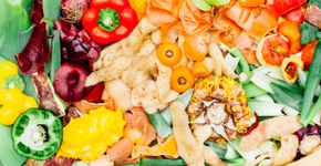Foto: (lucentius/iStock)