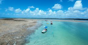 Foto: (Istock)