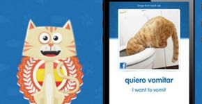 Startups fecham parceria para oferecer aula de artesanato na web