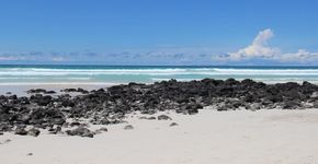 O que fazer em Puerto Ayora, na ilha de Galápagos