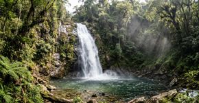Das montanhas acima de 2.000 metros até o nível do mar em quase 106 mil hectares: o parque entre Rio de Janeiro e São Paulo que reúne a Trilha do Ouro, cachoeiras e até uma praia em plena Mata Atlântica