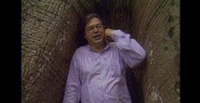 LEITURA MUSICADA – TOM JOBIM E A NATUREZA