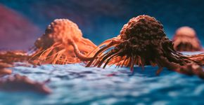 Foto: (iStock/koto_feja)