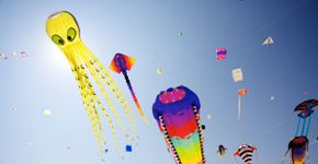 Foto: (Massimo Merlini/ iStock)