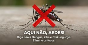 Conselhos para famílias que moram perto de áreas com muitos mosquitos