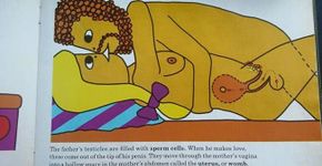 Livro infantil mostra como são feitos os bebês de forma ‘realista’