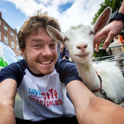 Fotógrafo tira selfies com animais