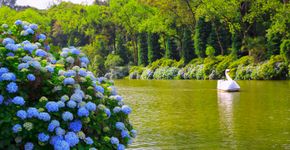 Foto: (iStock)