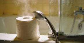 Por que você nunca deve guardar o papel-higiênico perto do chuveiro? Poucos sabem o motivo