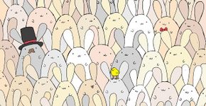 Bombou na internet: encontre um ovo em meio aos coelhos