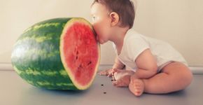 Foto: (iStock/Maravic)