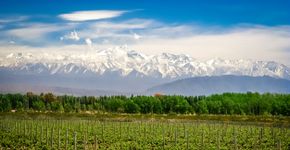 Foto: (pawopa3336/iStock)