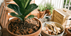 Como transformar restos da cozinha em um adubo potente sem gerar mau cheiro?
