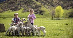 Foto: (Miles Holden/Tourism New Zealand)