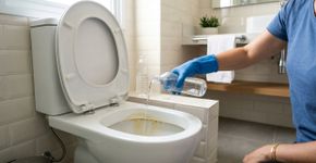 Vinagre, bicarbonato e outros truques: como limpar o vaso sanitário de acordo com cada tipo de sujeira
