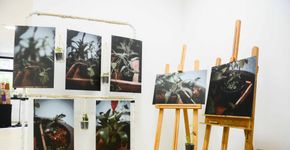 São Bernardo é palco de mostra de arte acessível e interativa para pessoas com deficiência