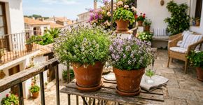 A planta que possui um aroma forte que afasta os mosquitos