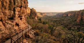 Mais de 1.000 sítios arqueológicos espalhados por cerca de 100 mil hectares de Caatinga: o parque piauiense onde 204 locais estão abertos à visitação entre pinturas rupestres, cânions e formações areníticas