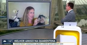 Foto: (Reprodução/TV Globo)
