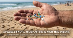 A falsa ideia de oceanos totalmente puros desmorona: até peixes de águas transparentes têm microplásticos acumulados no organismo