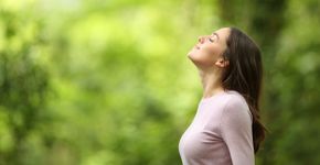 Foto: (Pheelings Media/istock)