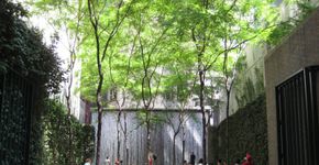 SP pode ganhar vários ‘pocket parks’