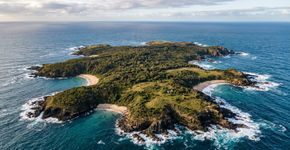 Compraram uma ilha de 4.000 hectares para criar ovelhas e agora estão gastando 4,8 milhões para convertê-la em um refúgio para animais em perigo