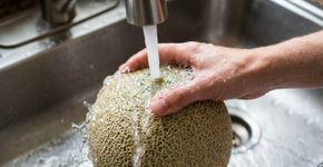 Cortar melão sem lavar a casca porque ela não será comida parece não fazer diferença, mas no Canadá a orientação é esfregar a fruta sob água corrente antes do corte: bactérias da superfície podem passar para a polpa pela faca