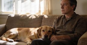 Como identificar o sofrimento emocional em animais antes que ele se torne uma doença física