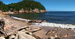 Empresa em Ilha no Canadá oferece terra e emprego
