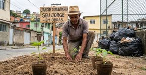 Um aposentado planta 3 mudas em um terreno abandonado da rua, cuida sozinho por 2 anos e a prefeitura reconhece o espaço como praça após um abaixo-assinado dos vizinhos