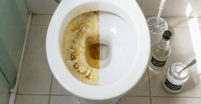 2 ingredientes naturais, 0 produtos químicos: eis como dar brilho aos seus vasos sanitários