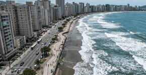 As tartarugas marinhas estão ficando sem lugares para nascer: o mar está avançando e muitas praias podem desaparecer antes de 2100