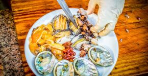 O que você pode fazer para evitar uma infecção alimentar?